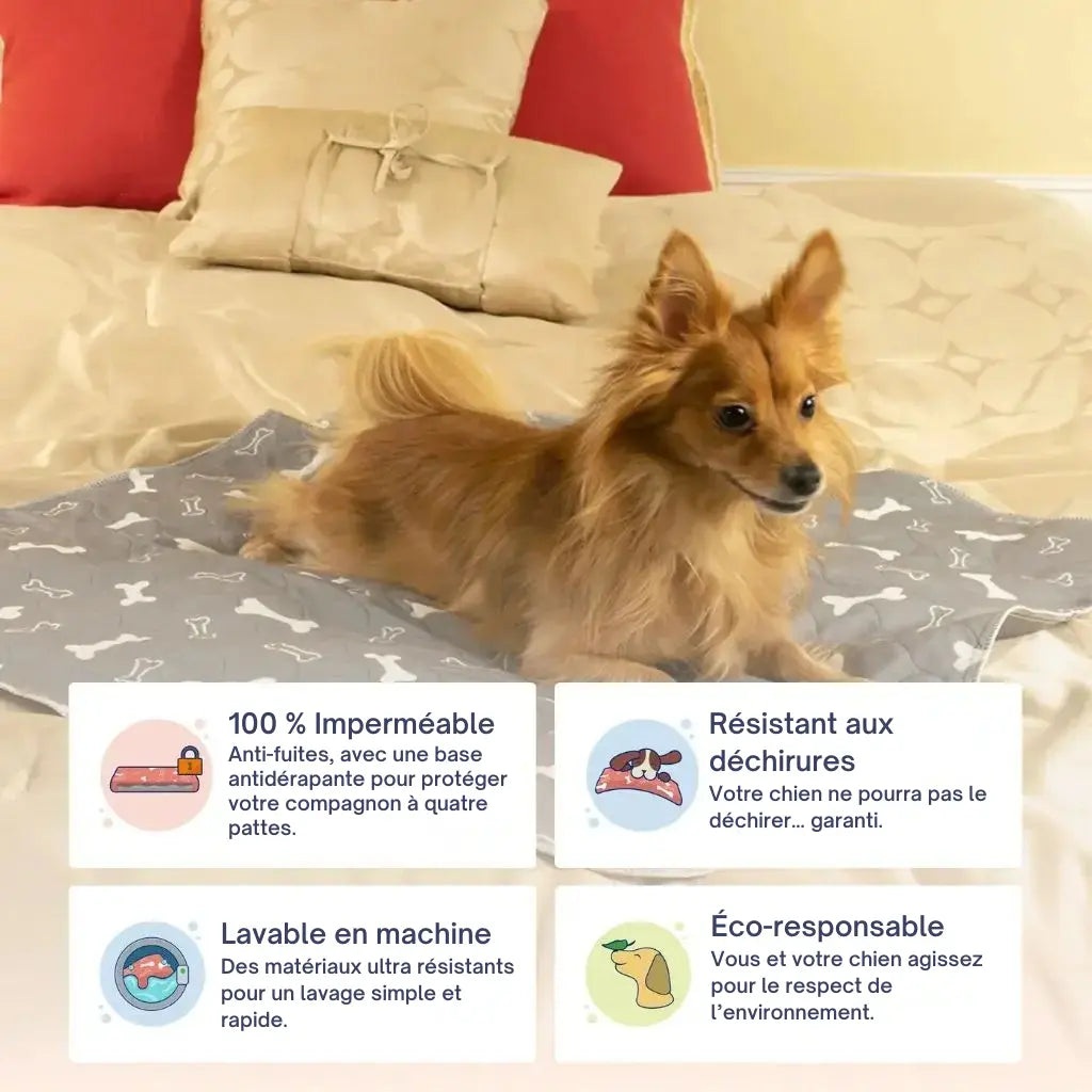 Tapis hygiénique - Taille XXL