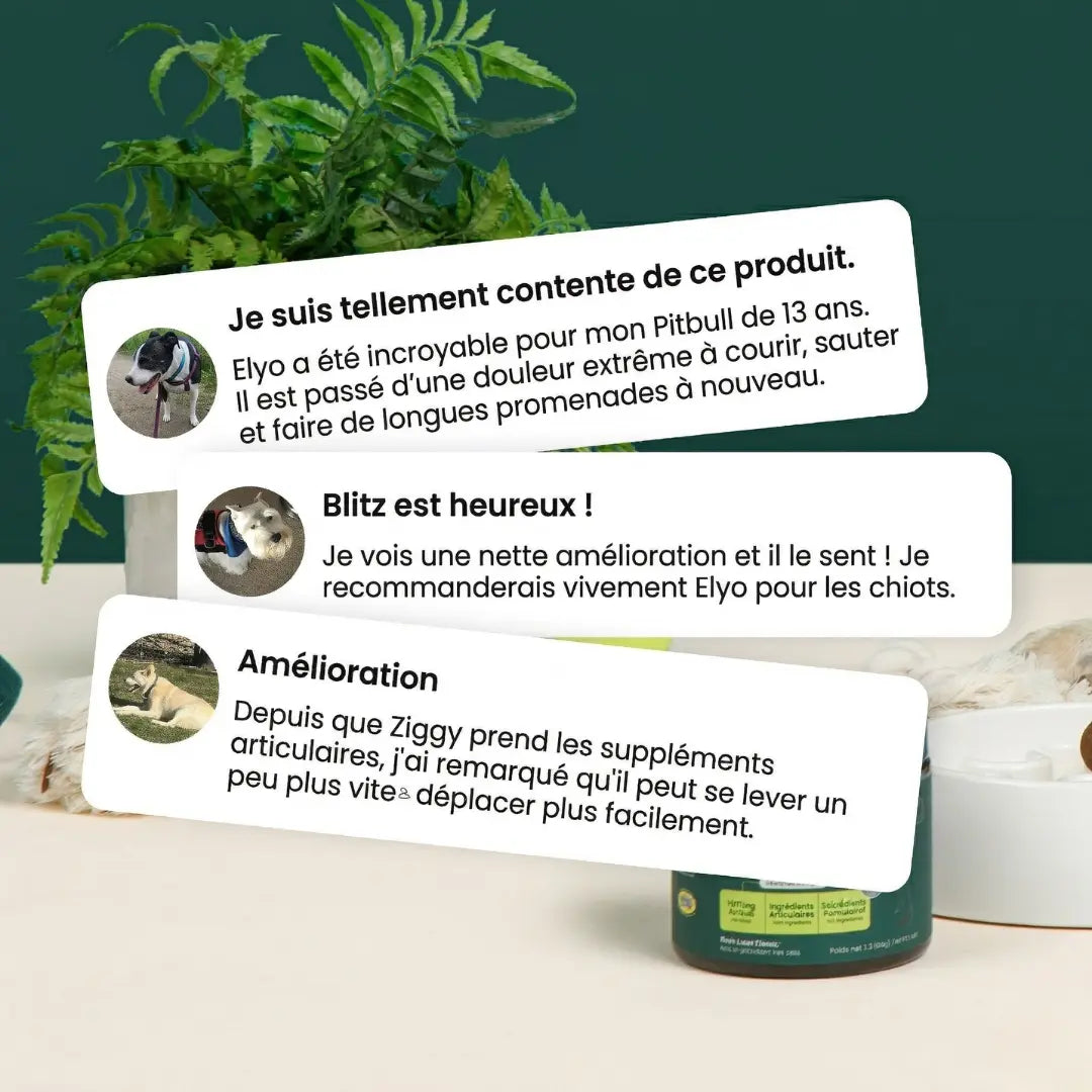 Friandises pour hanches et articulations