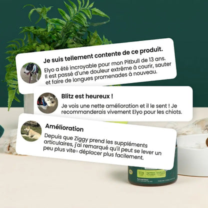 Friandises pour hanches et articulations