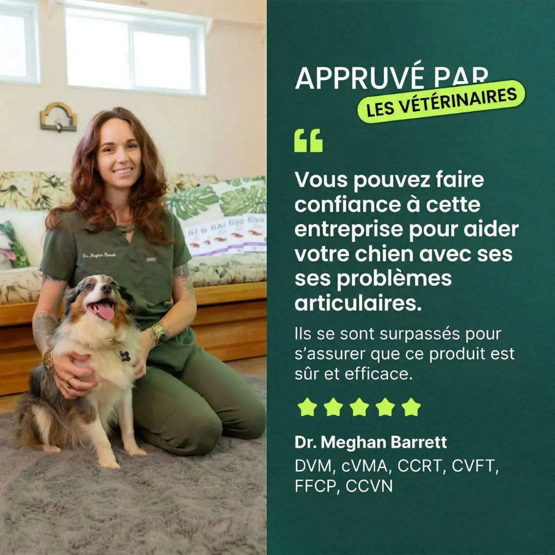 Friandises pour hanches et articulations