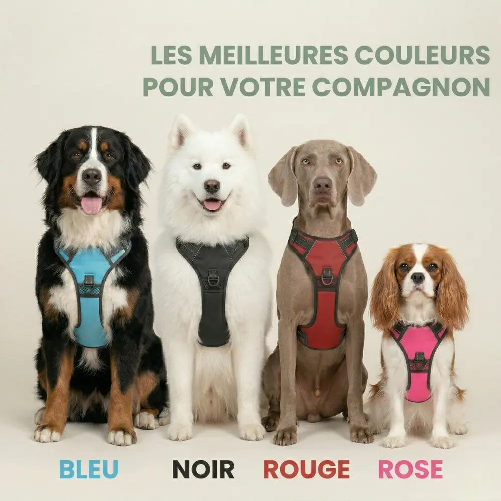 HARNAIS ANTI-TRACTION ELYO™