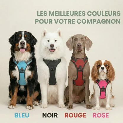 HARNAIS ANTI-TRACTION ELYO™