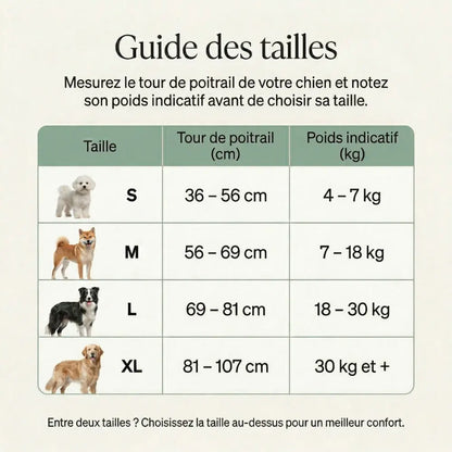 HARNAIS ANTI-TRACTION ELYO™