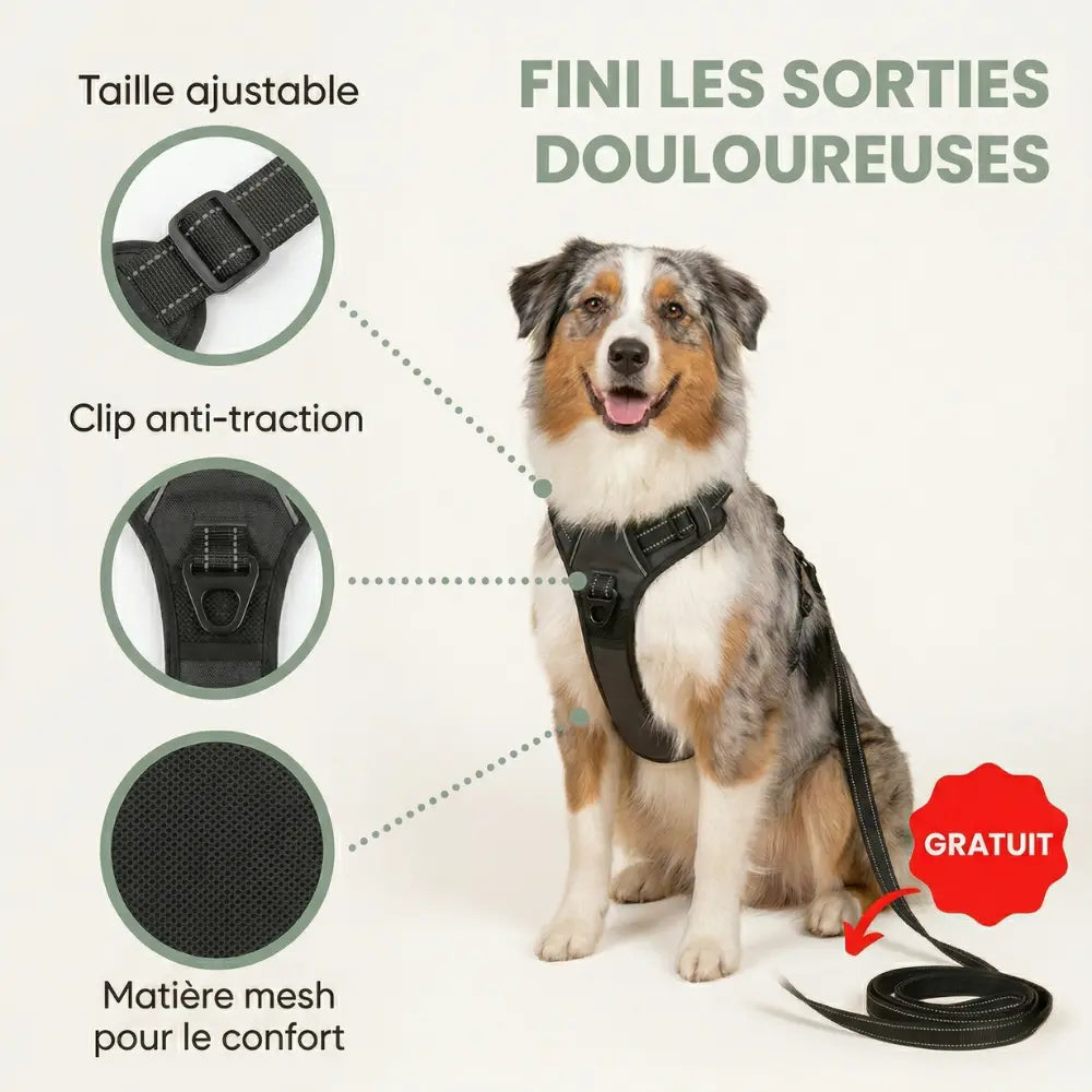 HARNAIS ANTI-TRACTION ELYO™