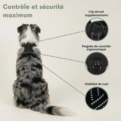 HARNAIS ANTI-TRACTION ELYO™