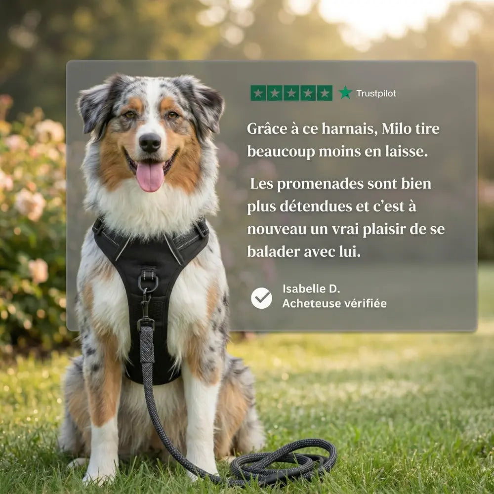 HARNAIS ANTI-TRACTION ELYO™