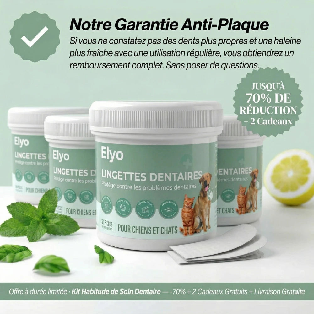 Lingettes Dentaires ProCare