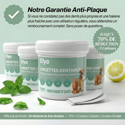 Lingettes Dentaires ProCare