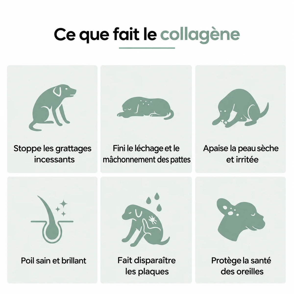 Collagène Liquide Premium Elyo
