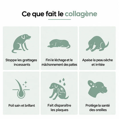 Collagène Liquide Premium Elyo