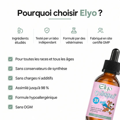 Collagène Liquide Premium Elyo