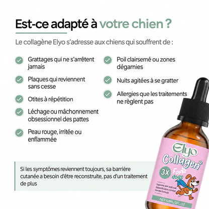Collagène Liquide Premium Elyo