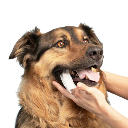 Lingettes Dentaires ProCare