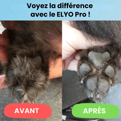 ELYO Pro™ – Soin des pattes sans douleur en quelques secondes