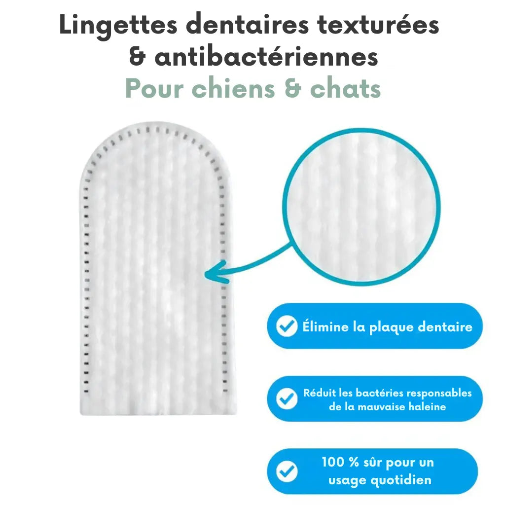 Lingettes Dentaires ProCare
