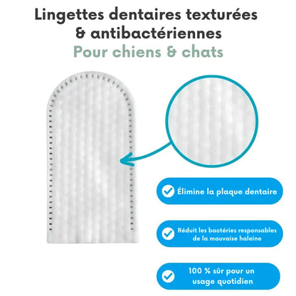 Lingettes Dentaires ProCare