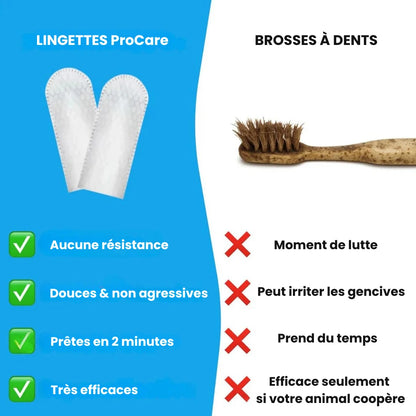 Lingettes Dentaires ProCare