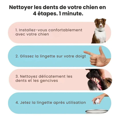 Lingettes Dentaires ProCare