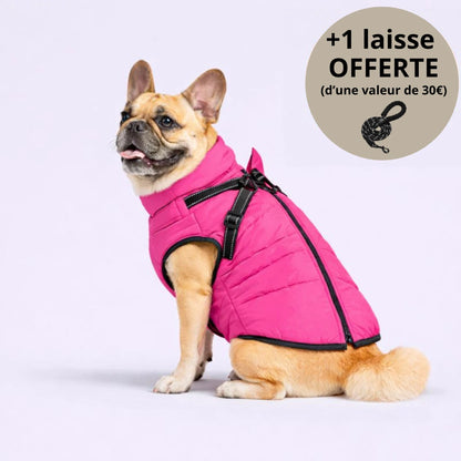 Veste d’hiver 3-en-1 pour chien + Laisse OFFERTE