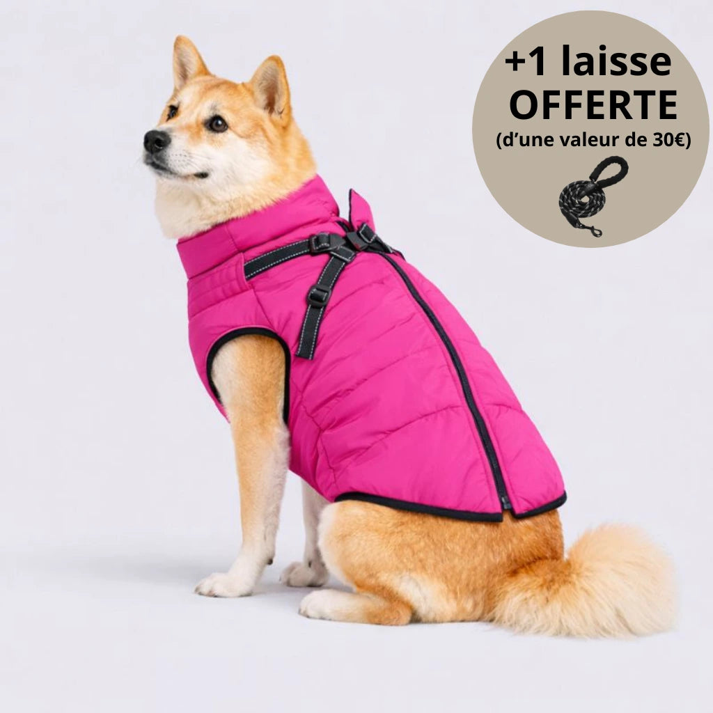 Veste d’hiver 3-en-1 pour chien + Laisse OFFERTE