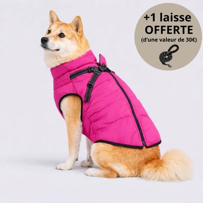 Veste d’hiver 3-en-1 pour chien + Laisse OFFERTE