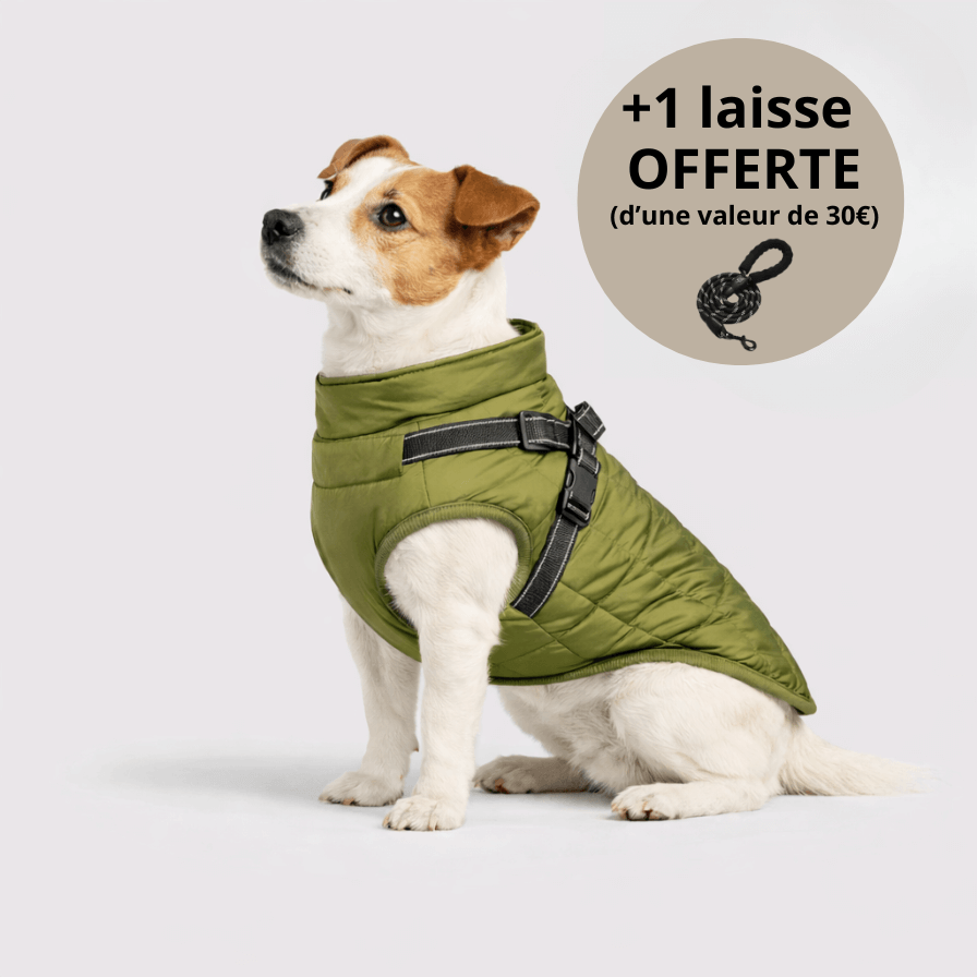Veste d’hiver 3-en-1 pour chien + Laisse OFFERTE