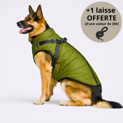 Veste d’hiver 3-en-1 pour chien + Laisse OFFERTE
