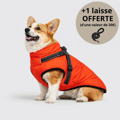 Veste d’hiver 3-en-1 pour chien + Laisse OFFERTE