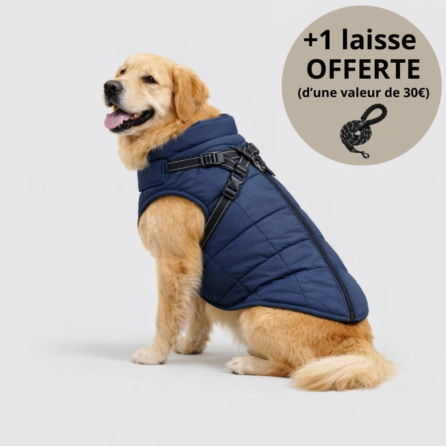Veste d’hiver 3-en-1 pour chien + Laisse OFFERTE