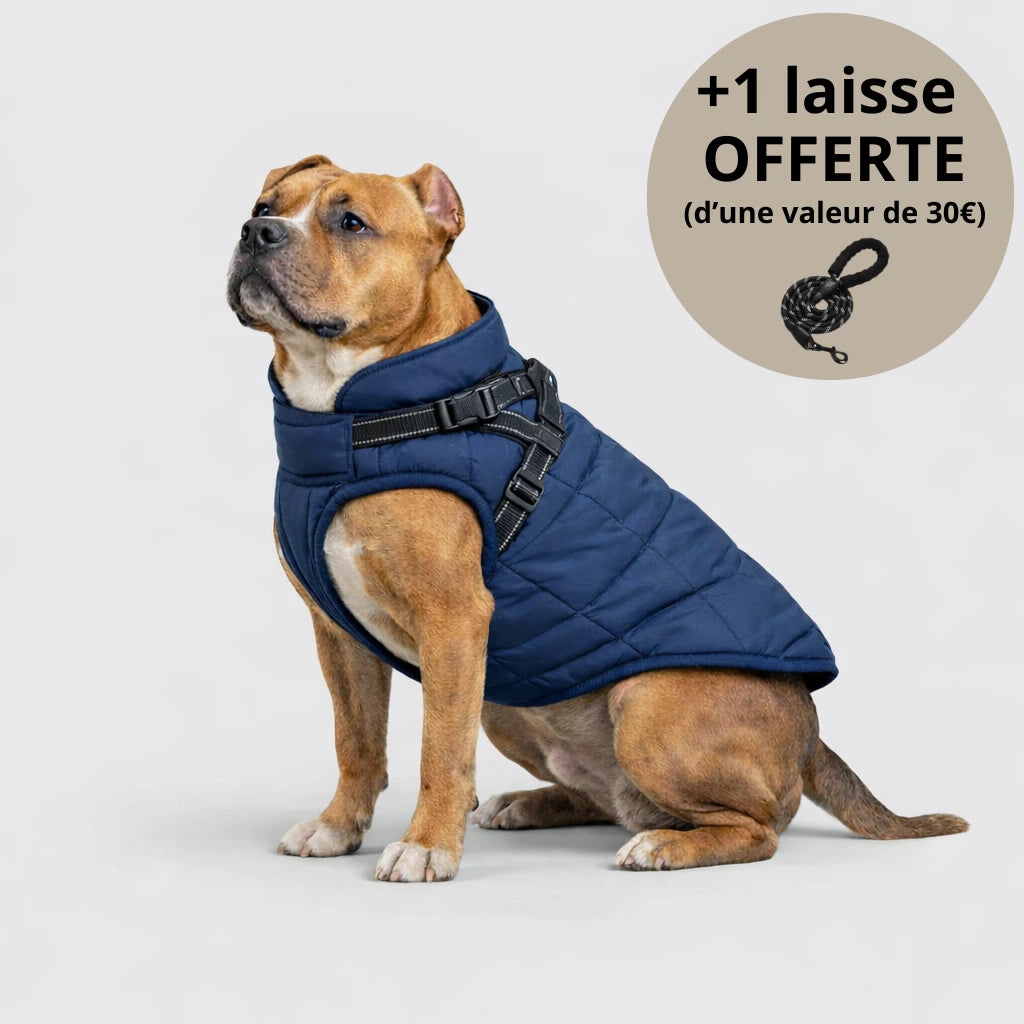 Veste d’hiver 3-en-1 pour chien + Laisse OFFERTE