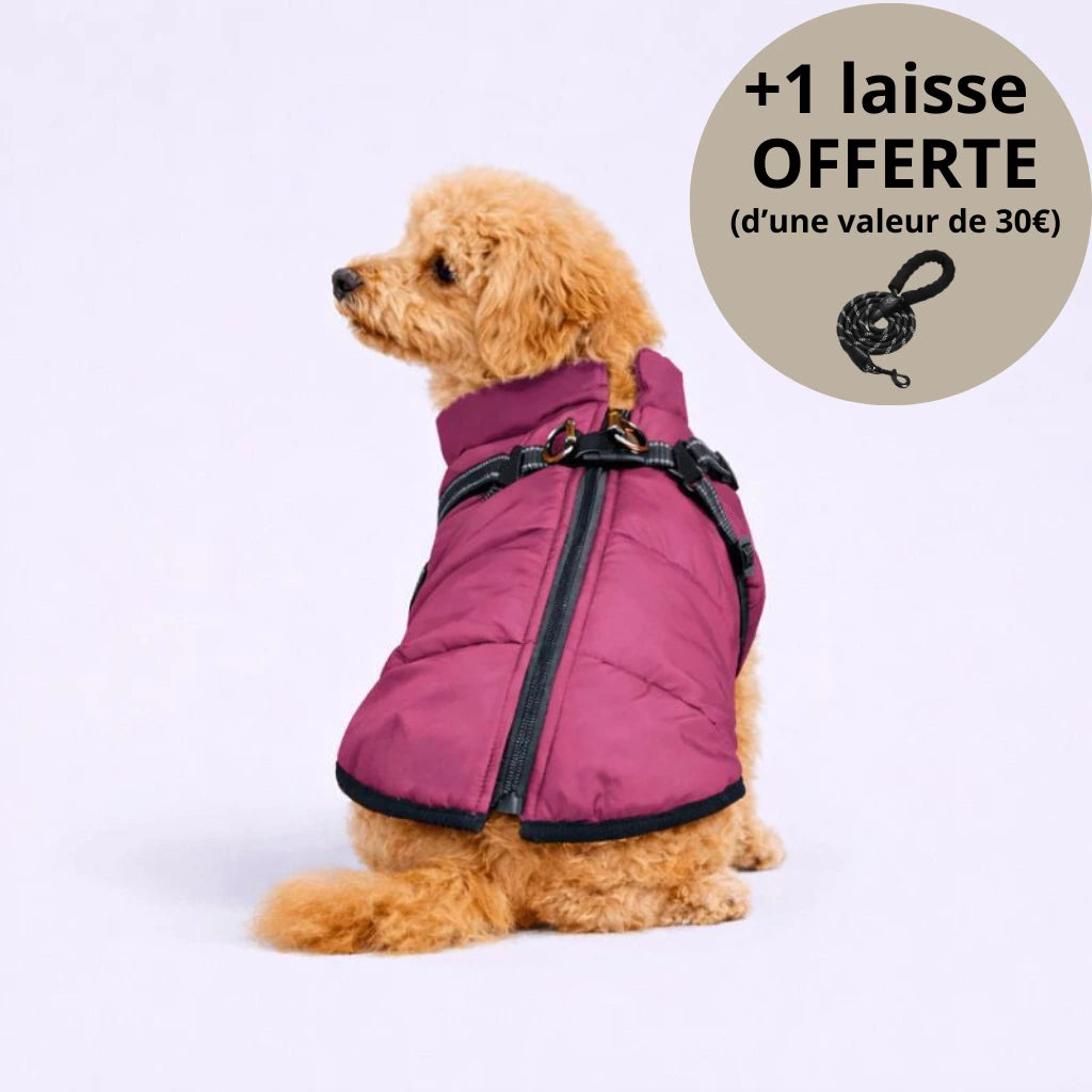 Veste d’hiver 3-en-1 pour chien + Laisse OFFERTE
