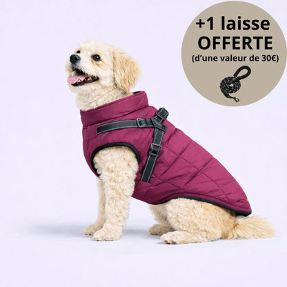 Veste d’hiver 3-en-1 pour chien + Laisse OFFERTE