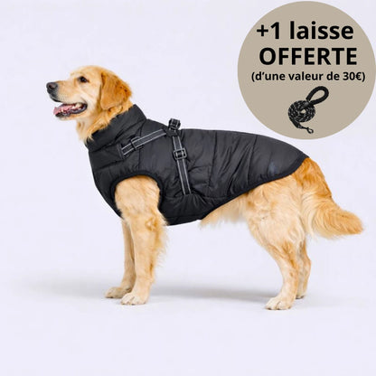 Veste d’hiver 3-en-1 pour chien + Laisse OFFERTE