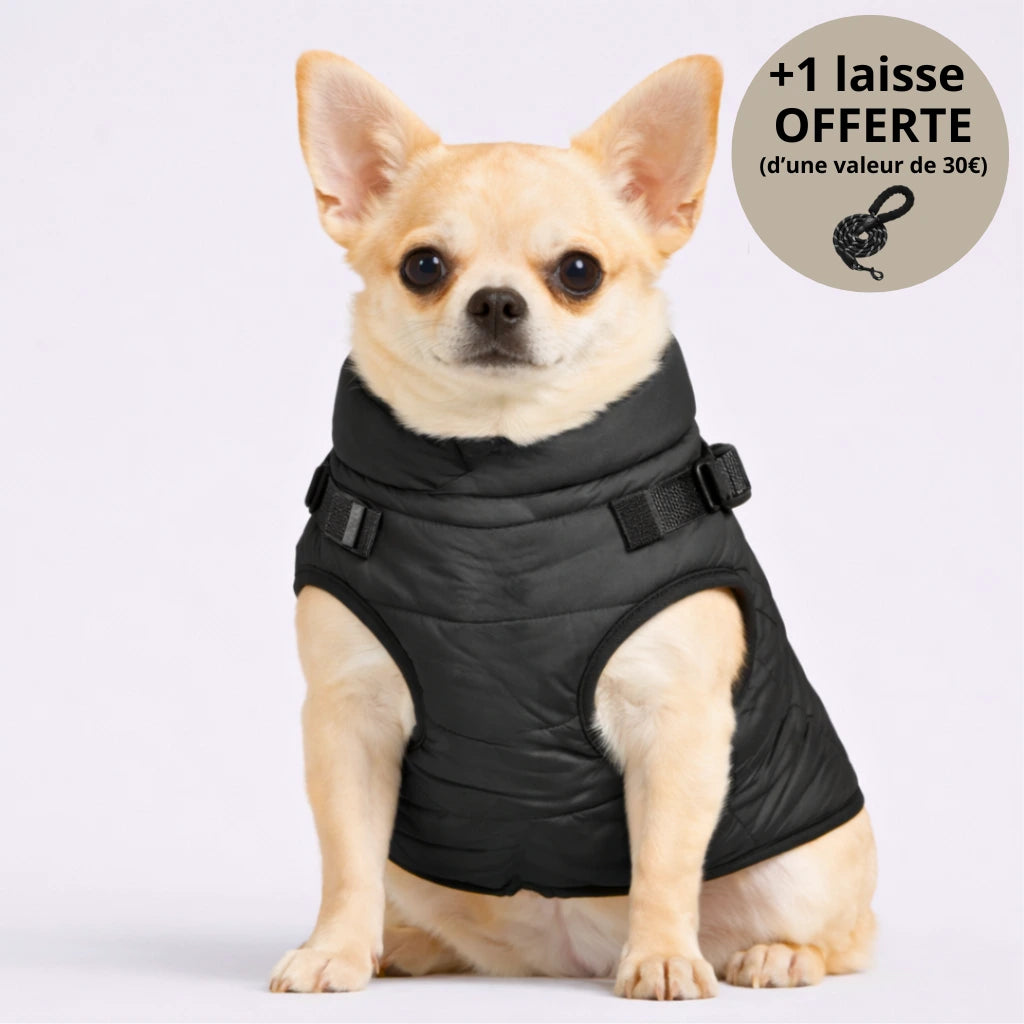 Veste d’hiver 3-en-1 pour chien + Laisse OFFERTE