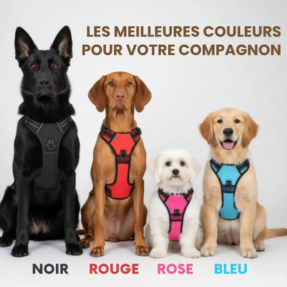 HARNAIS ANTI-TRACTION ELYO™