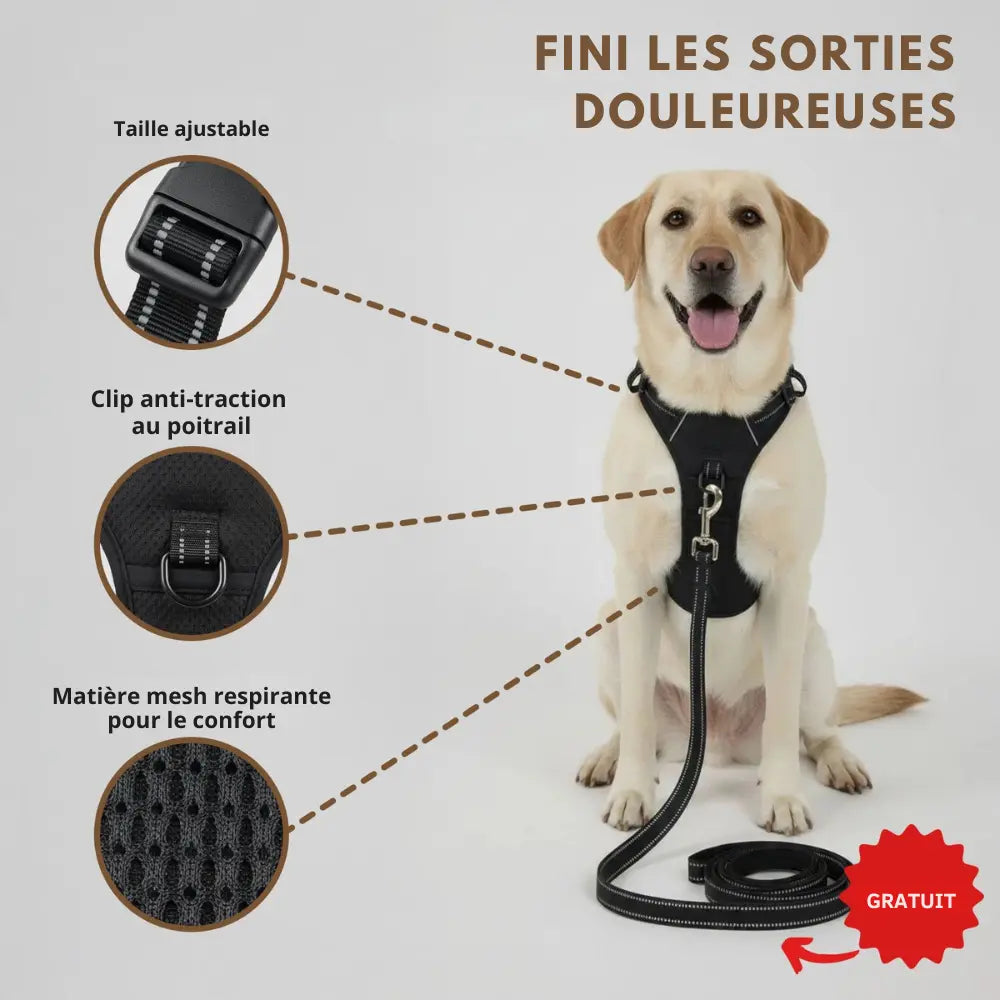 HARNAIS ANTI-TRACTION ELYO™