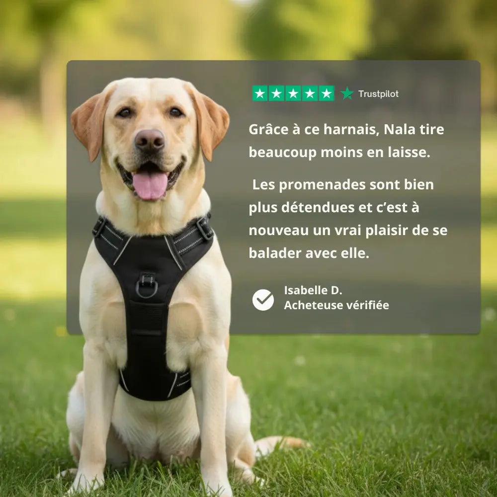 HARNAIS ANTI-TRACTION ELYO™