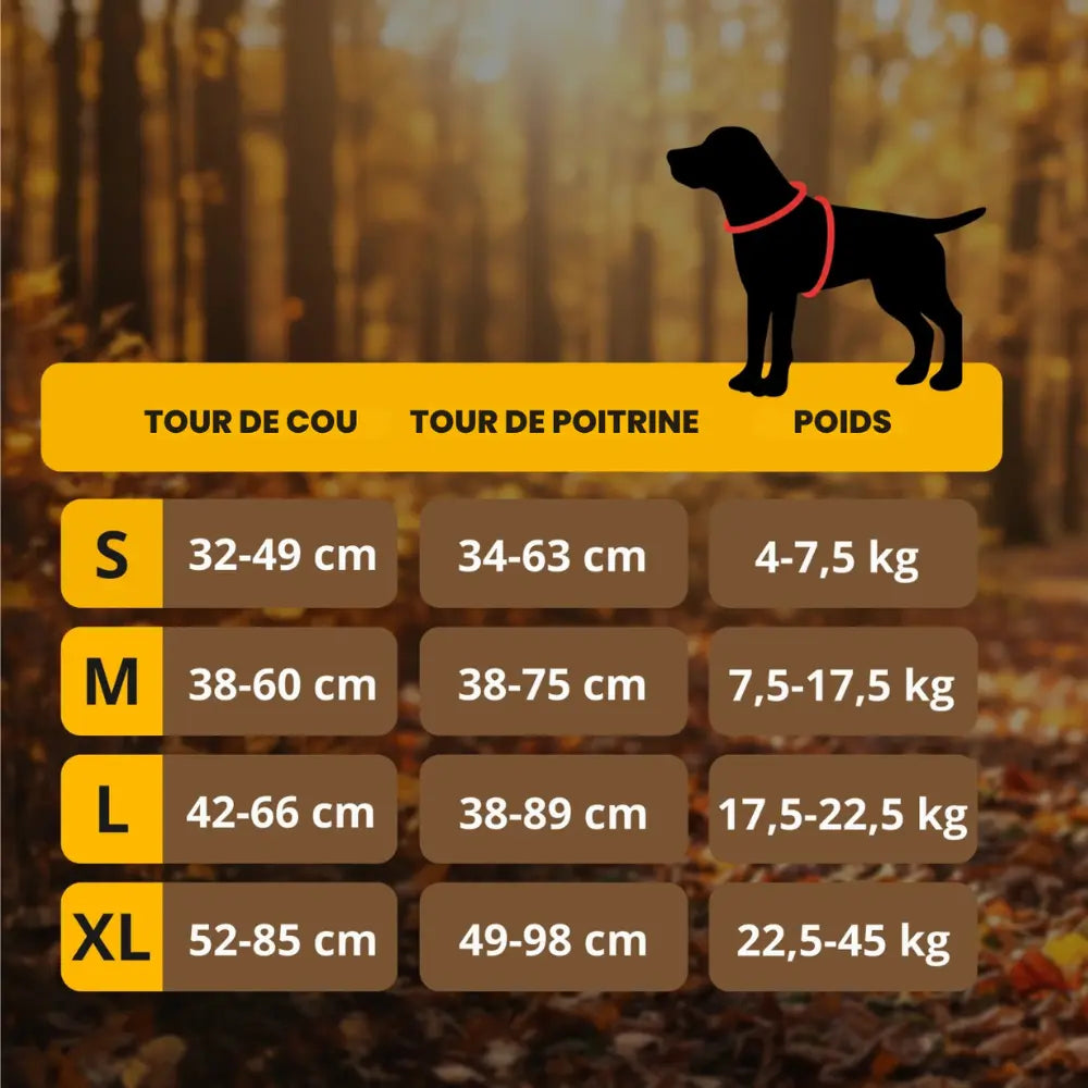 HARNAIS ANTI-TRACTION ELYO™