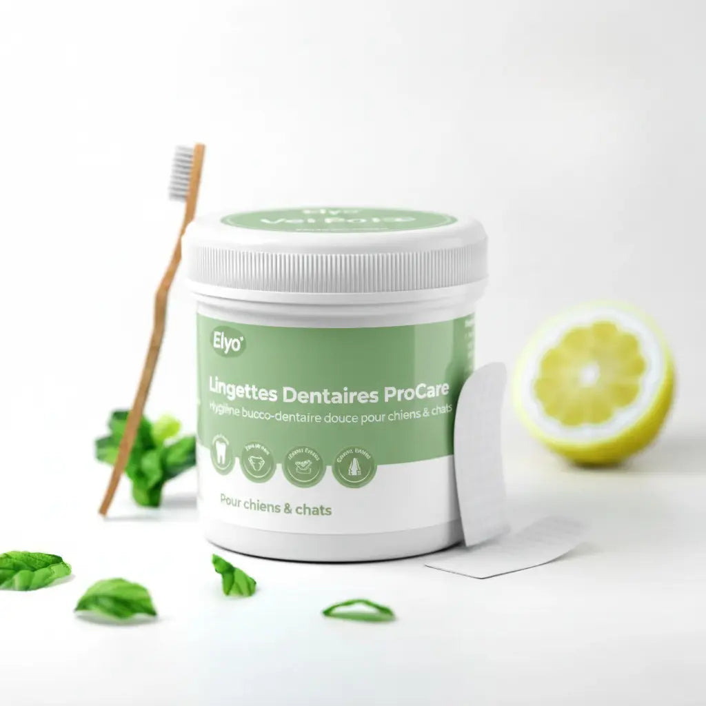 Lingettes Dentaires ProCare