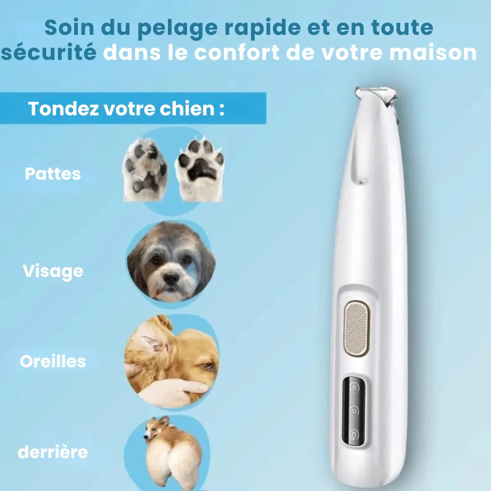 ELYO Pro™ – Soin des pattes sans douleur en quelques secondes