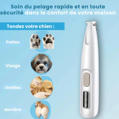 ELYO Pro™ – Soin des pattes sans douleur en quelques secondes