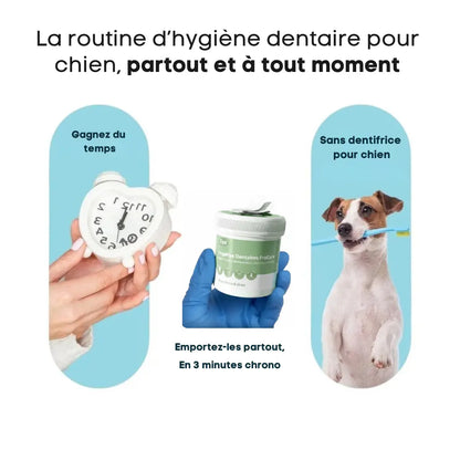 Lingettes Dentaires ProCare