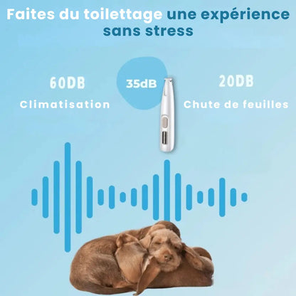 ELYO Pro™ – Soin des pattes sans douleur en quelques secondes