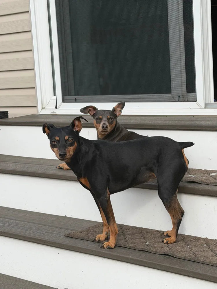 Photo client